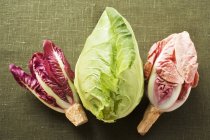 Pointed cabbage and radicchio — Stock Photo
