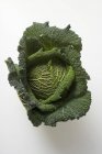 Зелений савойської капусти — стокове фото