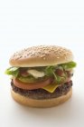 Klassischer Cheeseburger mit Essiggurken — Stockfoto