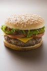 Cheeseburger con e lattuga — Foto stock