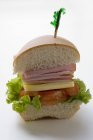 Ein halbes Sub-Sandwich — Stockfoto