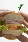 Mani in possesso di sandwich — Foto stock