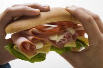 Hände halten Sandwich — Stockfoto