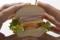 Hände halten Sandwich — Stockfoto