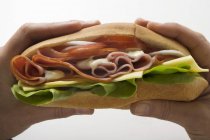 Mani in possesso di sandwich — Foto stock