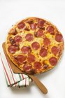 Salami and cheese pizza — Stock Photo