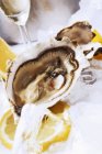 Oysters with lemons on ice — Stock Photo