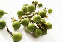 Зеленые баклажаны — стоковое фото