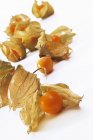 Physalis fruits with husks — Stock Photo