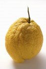 Fresh Ripe citron — Stock Photo
