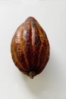 Raw cacao pod — Stock Photo