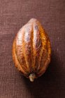 Gousse de cacao cru — Photo de stock