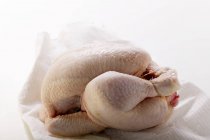 Frisches Huhn auf Küchenpapier — Stockfoto