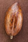 Baccello di cacao crudo — Foto stock