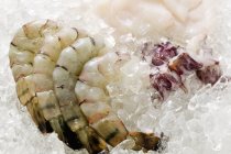 Королевские креветки и кальмары — стоковое фото