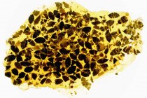 Vista close-up de sementes de abóbora cristalizadas — Fotografia de Stock