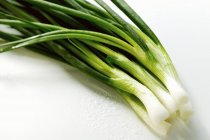 Bunch of Asian spring onions — Stock Photo