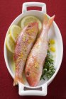 Red mullet with lemon sauce and thyme — Stock Photo
