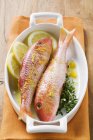 Red mullet with lemon sauce and thyme — Stock Photo