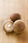 Three shiitake mushrooms — Stock Photo