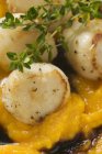 Scallops with pumpkin and thyme — Stock Photo