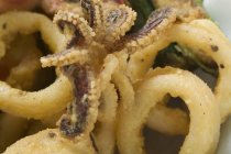 Vista de cerca de los anillos y tentáculos de calamares fritos - foto de stock