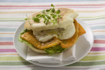 Kürbis-Mozzarella-Sandwich auf weißem Teller über farbigem Textiltuch — Stockfoto