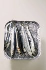 Plusieurs anchois frais — Photo de stock