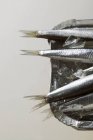 Sardellen in Aluminiumschale — Stockfoto