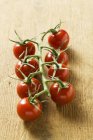 Fresh Cherry tomatoes — Stock Photo