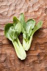 Pak choi with drops of water — Stock Photo