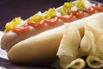 Hot dog avec chips — Photo de stock