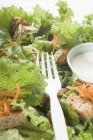 Hojas de ensalada con zanahorias - foto de stock