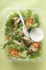 Foglie di insalata con carote — Foto stock