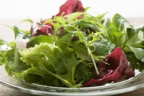 Feuilles de salade mélangées — Photo de stock
