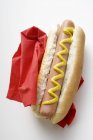 Hot dog with mustard — Stock Photo