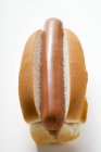 Hot dog without garnish — Stock Photo