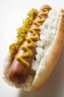 Hot dog avec saveur — Photo de stock