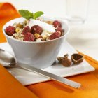 Muesli with raspberries and yoghurt — Stock Photo
