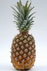 Gros ananas mûr — Photo de stock