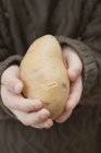 Mädchen hält Bio-Kartoffel in der Hand — Stockfoto