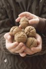Girl holding walnuts — Stock Photo