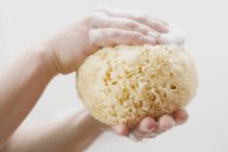 Closeup cropped view of hands holding a natural sponge in foam — Stock Photo