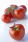 Tomates rouges fraîches — Photo de stock