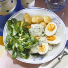 Eggs in herb sauce — Stock Photo