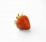Fresa fresca madura - foto de stock