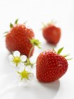 Fresh ripe strawberries with flowers — Stock Photo