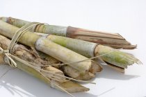 Closeup view of bundled sugar cane on white surface — Stock Photo