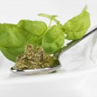 Closeup view of Pesto on spoon and herb — Stock Photo