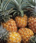 Five whole pineapples — Stock Photo